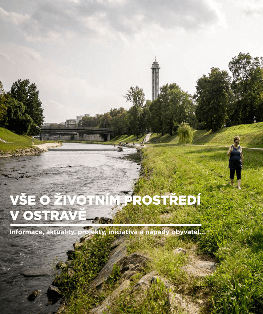 trvalka-cistaova-LG-photo