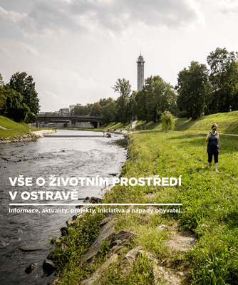 trvalka-cistaova-LG-photo
