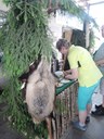 2016-05-28 14.28.37.jpg